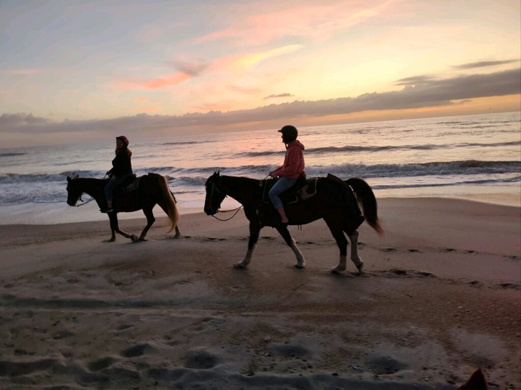 sunrise horse back ride in FL