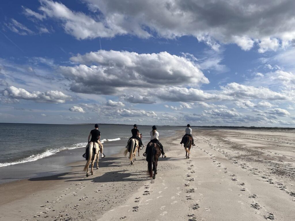 Tennessee Walking Horses riding group of people on beach